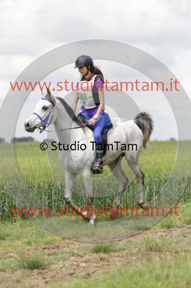 MAT_5953.JPG