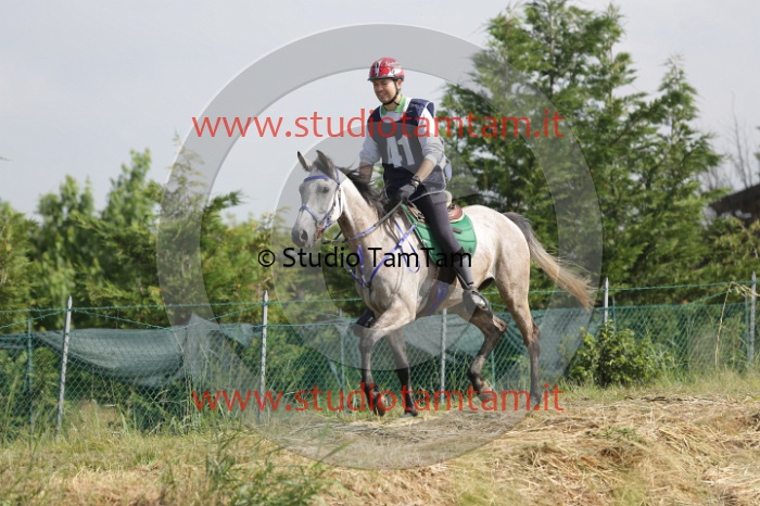 MAT_5681.JPG