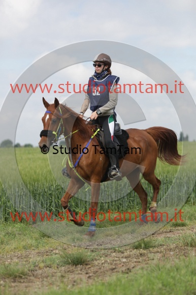 MAT_5793.JPG