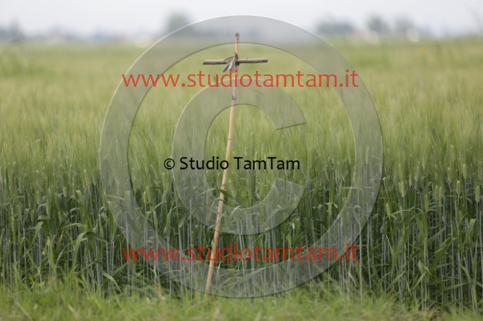 MAT_5830.JPG