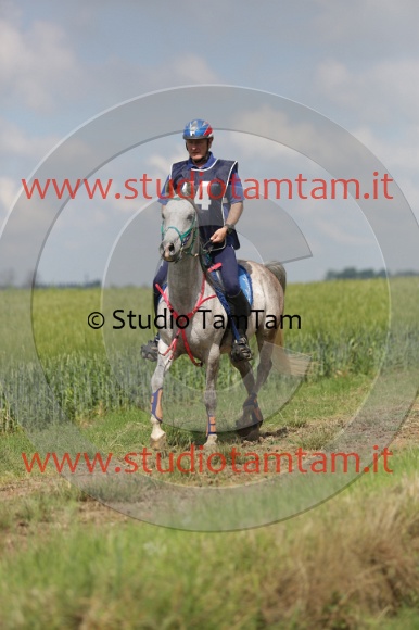 MAT_5845.JPG