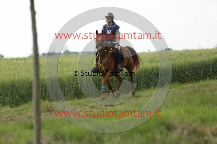 MAT_6520.JPG
