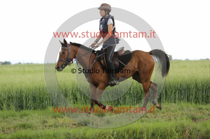MAT_6575.JPG