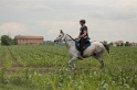 IMGB6498