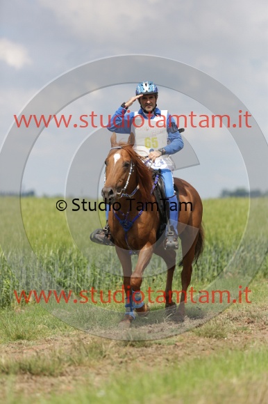 MAT_5911.JPG
