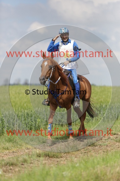 MAT_5913.JPG