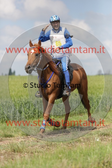 MAT_5917.JPG