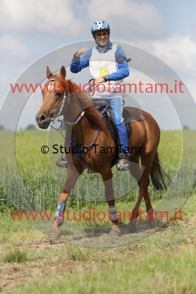 MAT_5918.JPG