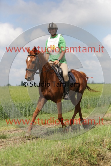 MAT_5920.JPG