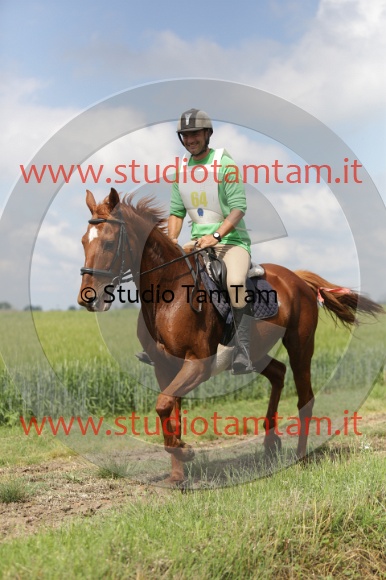 MAT_5921.JPG