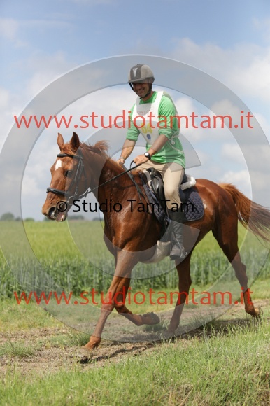 MAT_5922.JPG