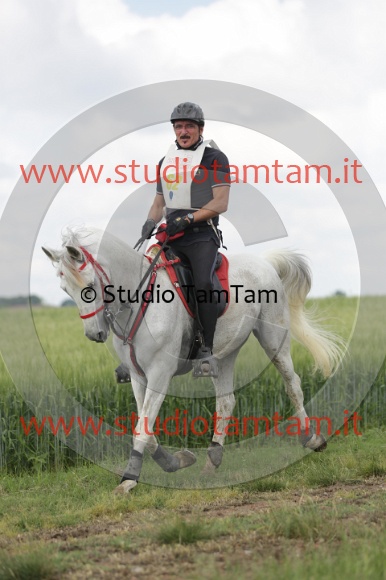 MAT_5937.JPG