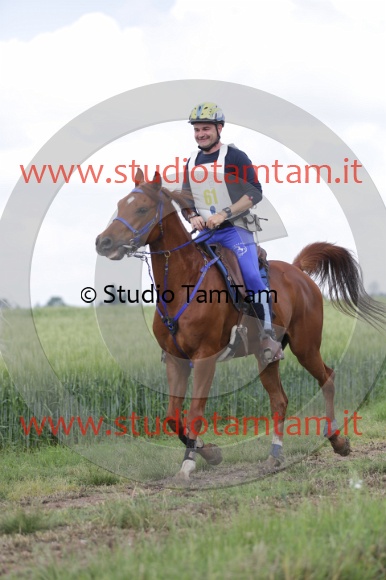 MAT_5938.JPG