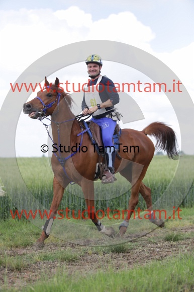 MAT_5943.JPG