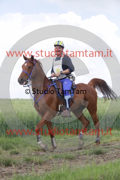 MAT_5944.JPG
