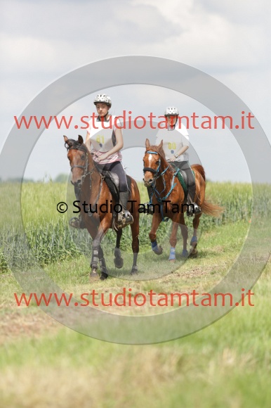 MAT_5960.JPG