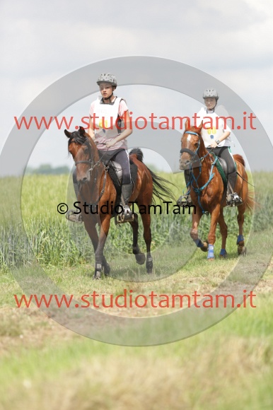 MAT_5962.JPG