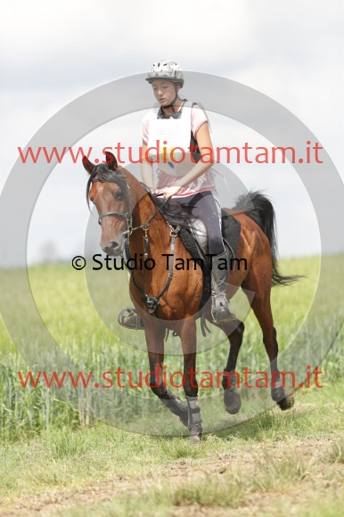 MAT_5964.JPG