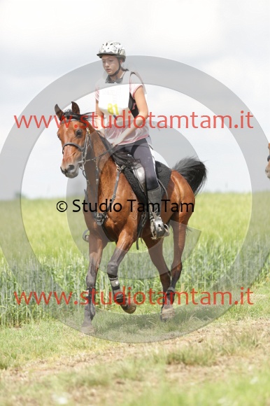 MAT_5965.JPG