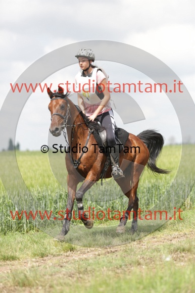 MAT_5968.JPG