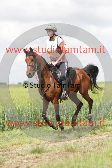 MAT_5970.JPG
