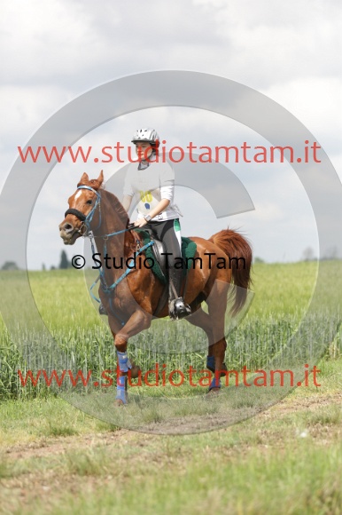 MAT_5971.JPG