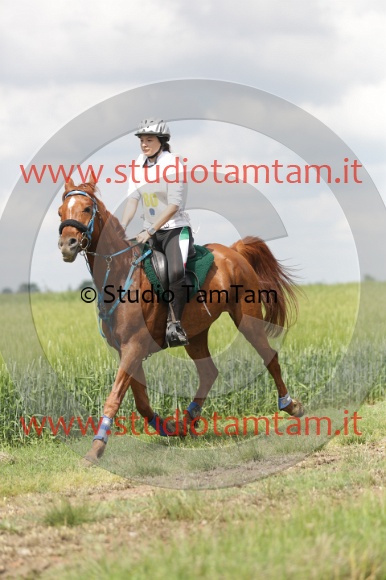 MAT_5972.JPG