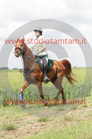 MAT_5973.JPG