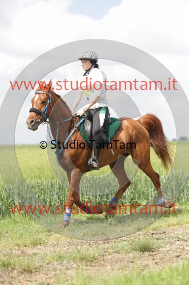 MAT_5975.JPG