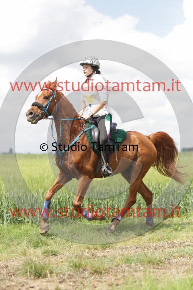 MAT_5976.JPG