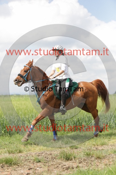 MAT_5977.JPG