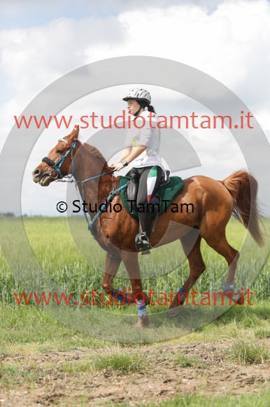 MAT_5978.JPG