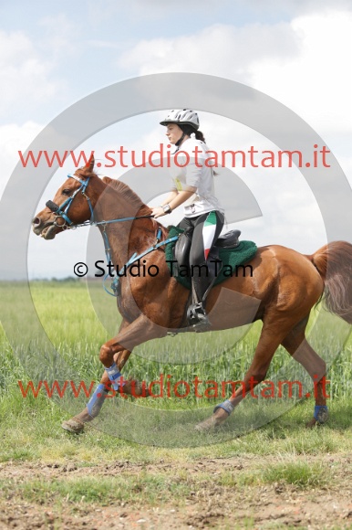 MAT_5979.JPG