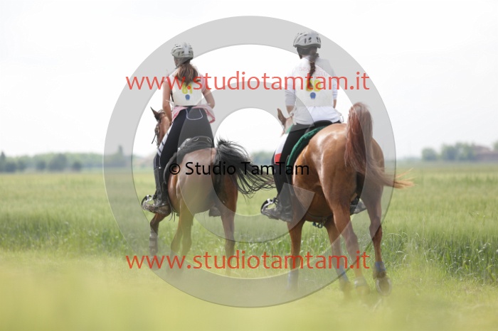 MAT_5982.JPG