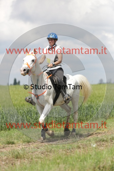 MAT_6030.JPG