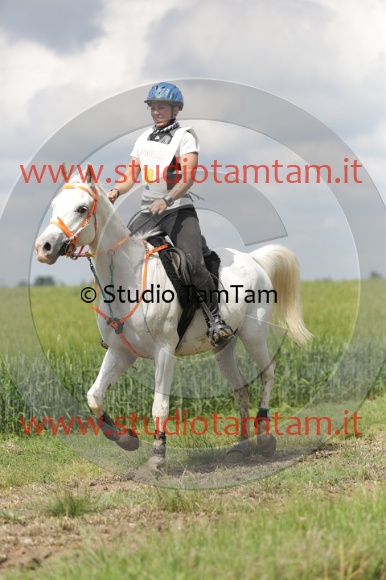 MAT_6032.JPG