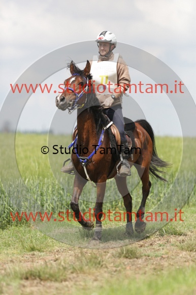 MAT_6035.JPG