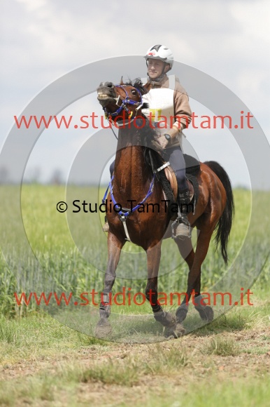 MAT_6036.JPG