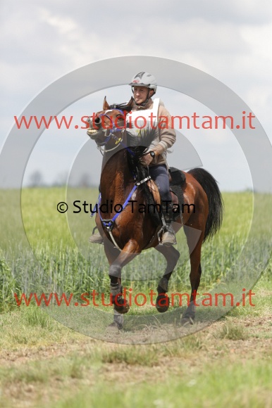 MAT_6037.JPG