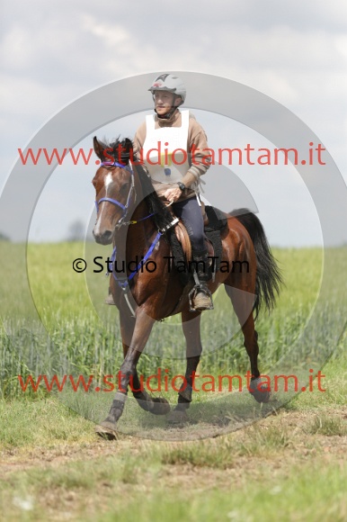 MAT_6038.JPG