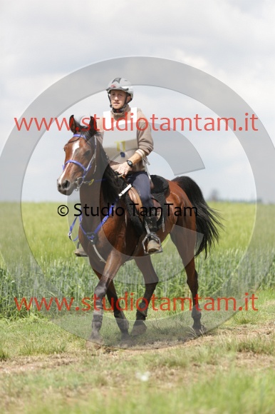 MAT_6039.JPG