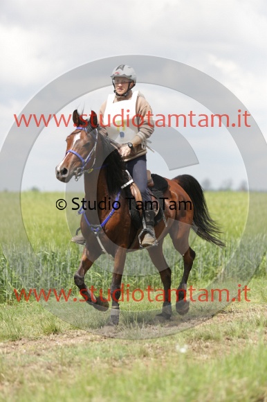 MAT_6040.JPG