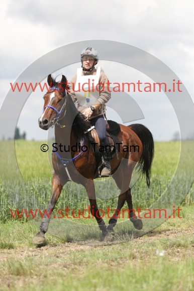MAT_6041.JPG