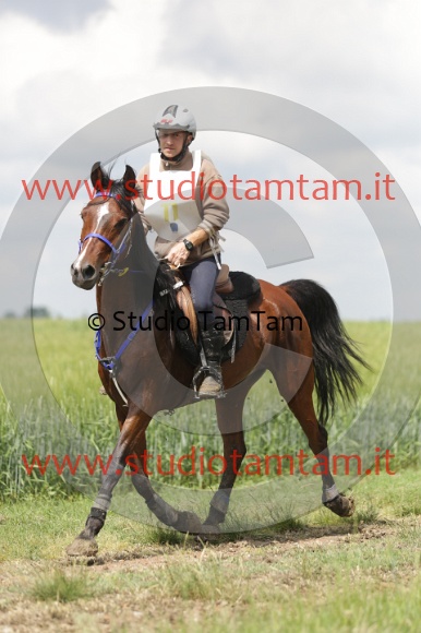 MAT_6043.JPG