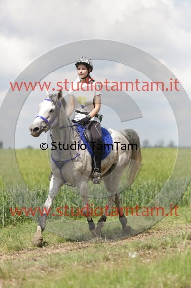 MAT_6045.JPG