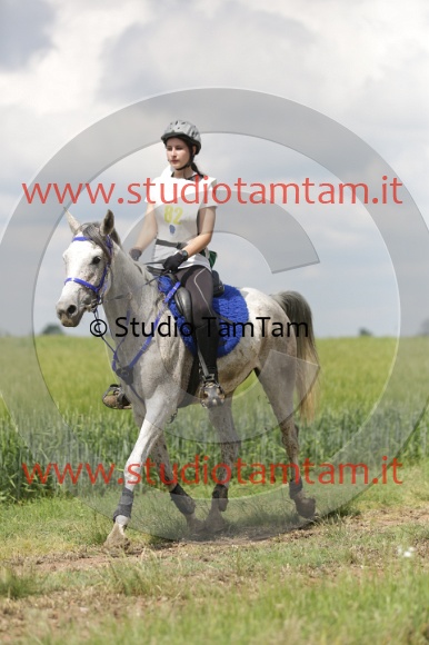 MAT_6047.JPG