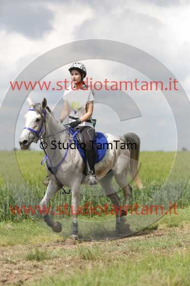 MAT_6048.JPG