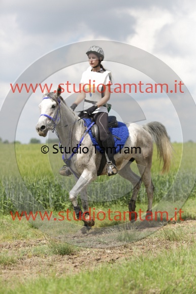 MAT_6050.JPG