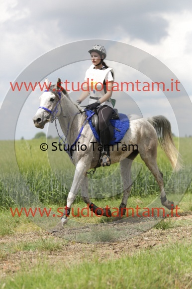 MAT_6051.JPG