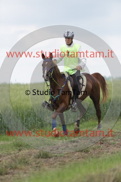MAT_6054.JPG